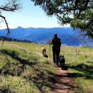 Hiker walking the Pacific Crest Trail in Oregon, surrounded by forests and mountains  